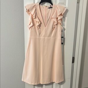 Elegant Pink Ruffle Dress